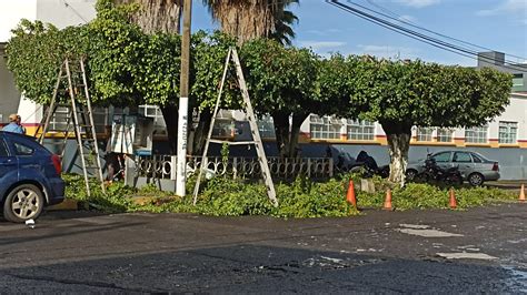 Incansable la labor de Parques y Jardines en el mantenimiento de áreas