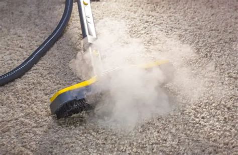 How to Steam Clean a Carpet (Illustrated Guide) | Steam Cleaner Pro