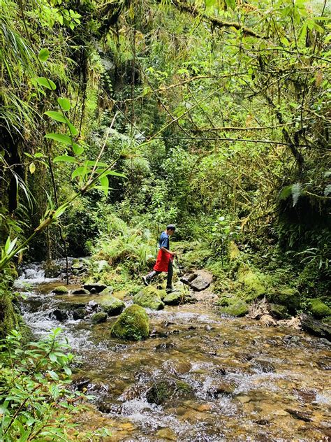 Hiking In Costa Rica 5x Beautiful And Unknown Hikes Edventure Travel