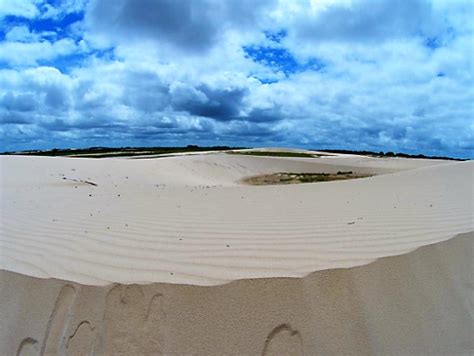 Los Médanos de la Soledad Entre selva y llanura un mar de dunas