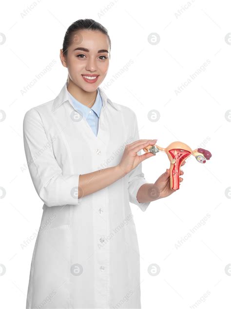 Doctor Demonstrating Model Of Female Reproductive System On White