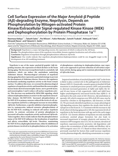 Pdf Cell Surface Expression Of The Major Amyloid Peptide A