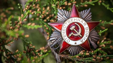 Картинки орден, отечественной войны, день победы, 9 мая - обои ...