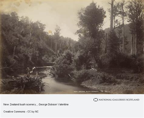 New Zealand Bush Scenery National Galleries Of Scotland