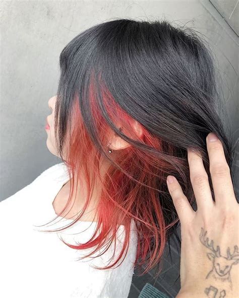 Pin By Guadalupe Alonso On Pelo Te Ido Underdye Hair Hidden Hair