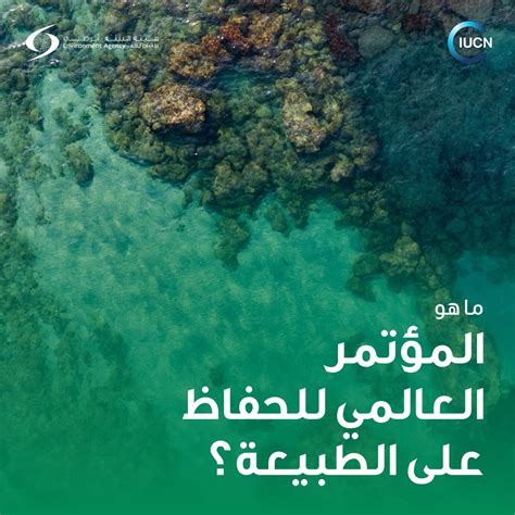 مكتب أبوظبي الإعلامي on Twitter بعد فوز دولة الإمارات باستضافة