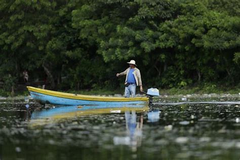 La Fao Aboga Por El Fortalecimiento De La Pesca Y Acuicultura