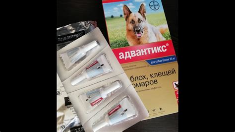 Капли от клещей АДВАНТИКС (Advantix) 🐞 Отзыв о каплях - YouTube