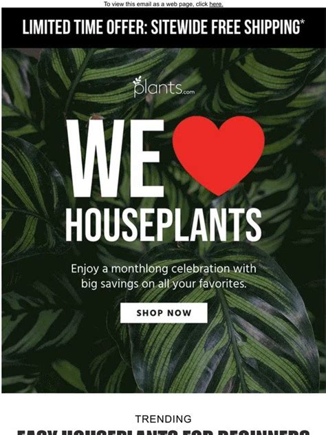 Plants National Houseplant Appreciation Day Is Coming Up Milled