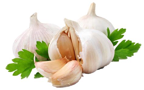 Collection Of Garlic Hd Png Pluspng
