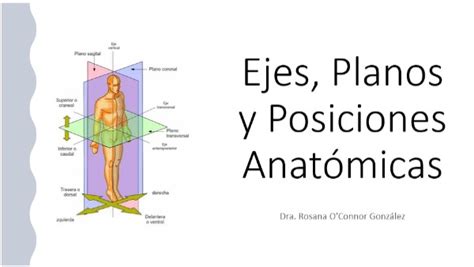 Ejes Planos y Posiciones anatómicas