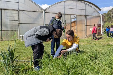 L Escola Agrària de Manresa ensenya agricultura ecològica a l alumnat