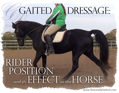 Gaited Dressage Riding Position And Its Effect On The Horse