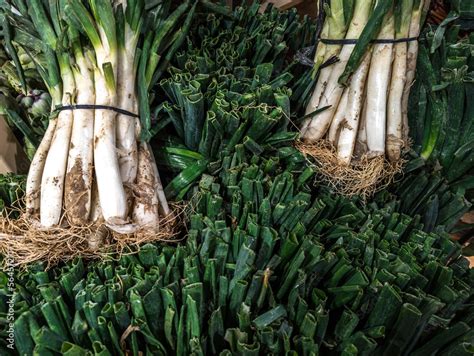 Vista Rea De Manojos De Ca Ots Variedad De Cebollas Tiernas Platos