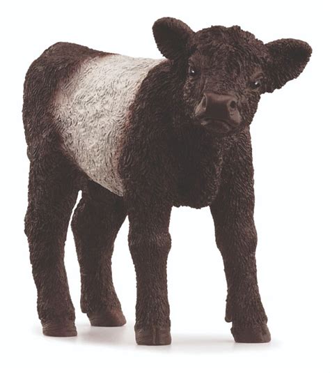 Schleich Farm World Galloway Calf - Wonderland Models | SL13969 | £4.49