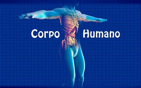 Curiosidades Sobre O Corpo Humano Site De Curiosidades