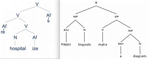 draw  tree diagram  english