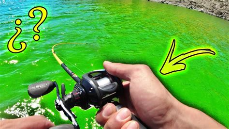 Pescando Black Bass En Aguas Fosforitas Youtube