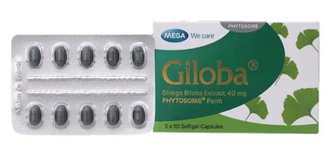 Mega Giloba Brain Tonic 40mg Ginkgo Biloba Hien Thao Shop