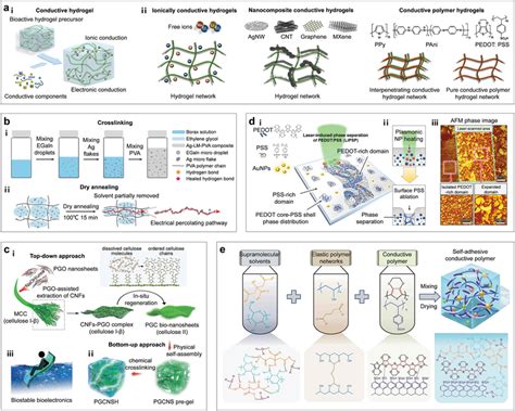 Design Principle And Preparation Of Engineering Conductive Hydrogels