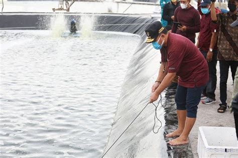 Pembangunan Shrimp Estate Kalteng Diproyeksi Jadi Model Nasional