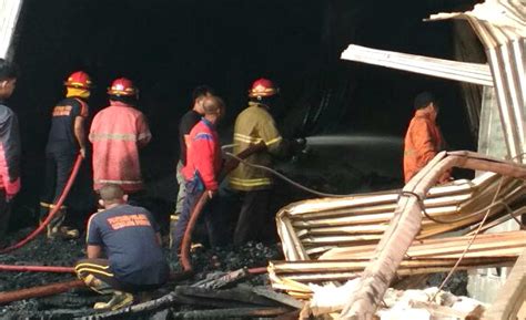 Pabrik Pengolahan Kayu Di Pekalongan Terbakar Tagar