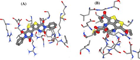 A B D Binding Mode Of Compound With Egfr M Pdb Id Jx A And