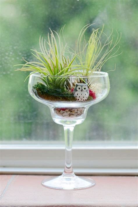 50 Air Plant Terrarium Kit And Stained Glass Inspiration Air Plants