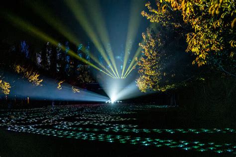 Lightscape Returns To Brooklyn Botanic Garden For The 2024 Holiday