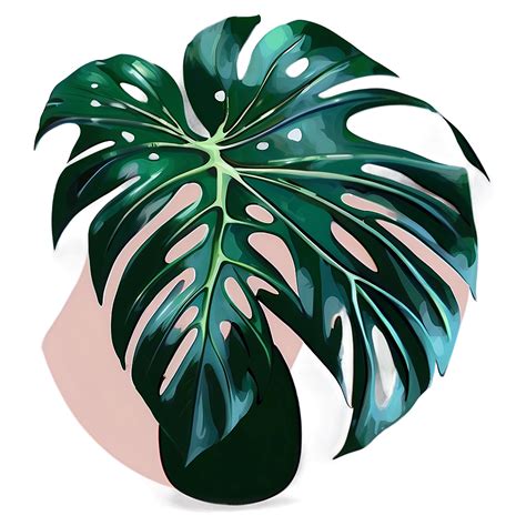 Download Modern Monstera Artwork Png Rfi | Wallpapers.com