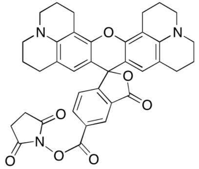 5 ROX SE209734 74 7ROX NHS ester 5 isomer5 ROX 琥珀酰亚胺酯用作胺偶联剂344402