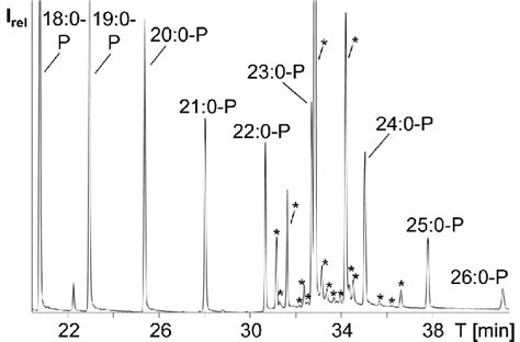 Gc Ms Sim Chromatogram Of The Silylated Unsaponifiable Matter Of Download Scientific Diagram