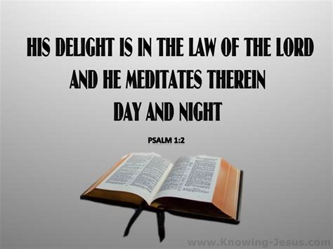 8 Bible Verses About Day Or Night