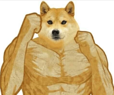 Shibe Meme