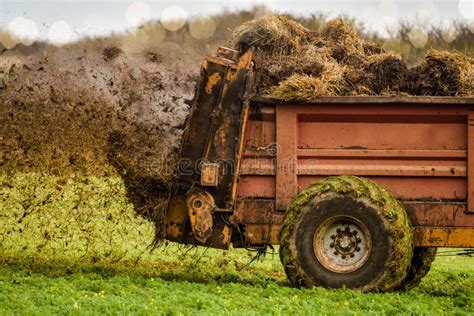 Tractor And Its Spreader Spreading Manure In The Fields Stock Photo