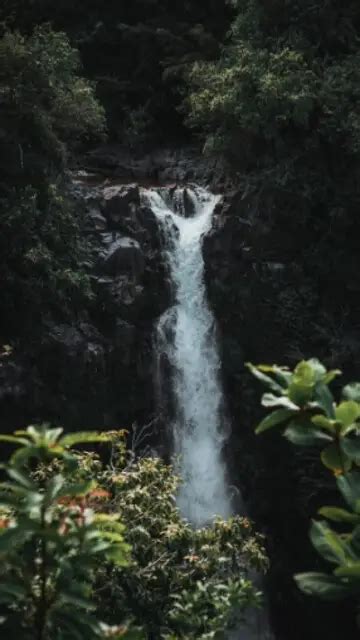 On World Tourism Day Visit Wow Worthy Waterfalls In Odisha