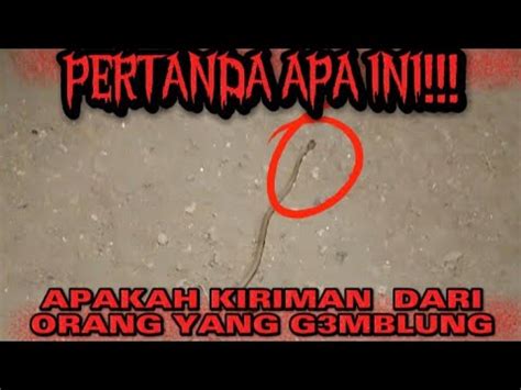 Kejadian Asli Diluar Nalar Dih Dang Ular Aneh Dibelakang Ponpes