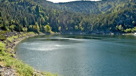 Le Lac Noir Visit Alsace