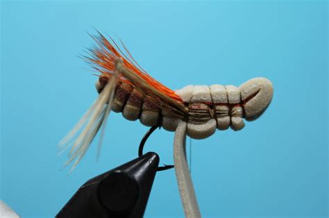 Extended Abdomen Hopper X Flytyingnation