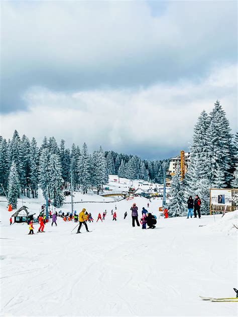 Ski Resort Kopaonik