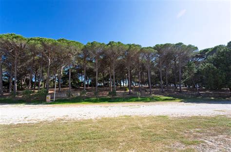 Coastal Campsite In Sardinia Camping Cala Ginepro