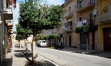 Alcamo il verde pubblico tra manutenzione e alcune criticità Alqamah