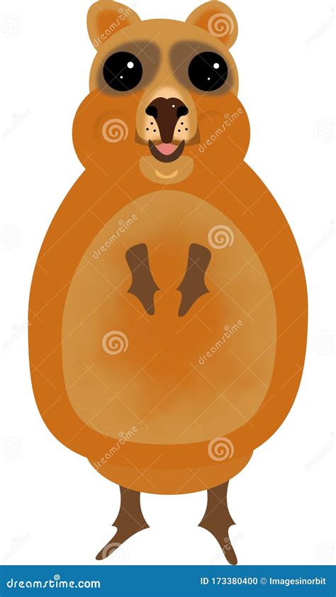 Quokka Cartoons Illustrations Vector Stock Images 279 Pictures To