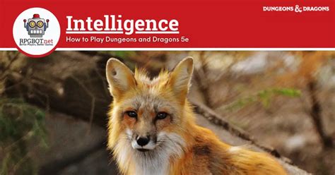 Intelligence How To Play Dnd 5e Rpgbot