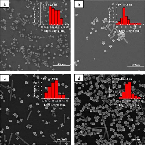 SEM Images Of Ag Nanocubes Obtained Under Irradiance With 200 W