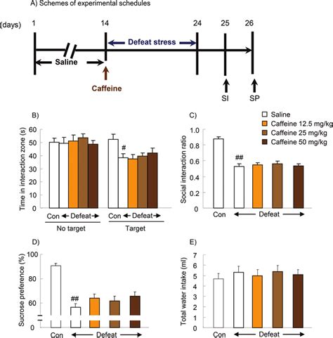 Acute Pretreatment With Caffeine Before Social Defeat Did Not Alter The