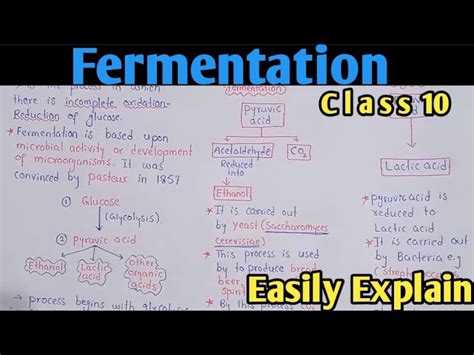 Fermentation Definition