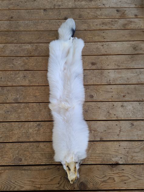 Marble Cross Fox Etsy