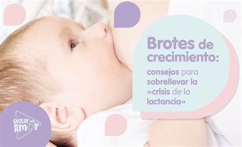 Brotes De Crecimiento Gestar Con Amor Aprende Consejos De Lactancia