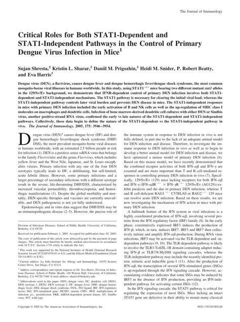 PDF Critical Roles For Both STAT1 Dependent And STAT1 Independent